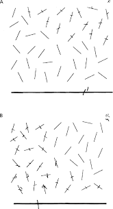 Single letter cancellation test (slct). Dissociation Of Sensory Attentional From Motor Intentional Neglect Journal Of Neurology Neurosurgery Psychiatry