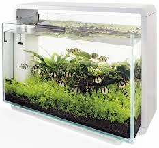 Epingle Sur Aquascaping