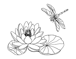 Pin En Dibujos De Flores Para Colorear