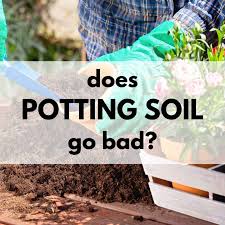 Use garden soil amendments like compost and manure to build soil, improve its structure, provide nutrients and promote healthy plant growth. Does Potting Soil Go Bad 3 Telltale Signs Your Potting Soil Needs Help Together Time Family