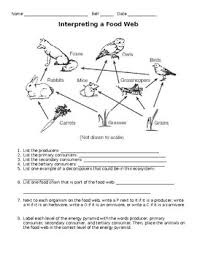 These worksheets have been specifically designed for use with any international curriculum. Food Web Worksheet Answer Key Promotiontablecovers