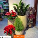 Floridis | Vasos para plantas（@floridis_oficial）• Instagram 相片 ...
