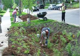 Photos Of Rain Gardens Terrace Rain Gardens Stormwater Engineering City Of Madison Wisconsin Rain Garden Stormwater Ways To Save Water
