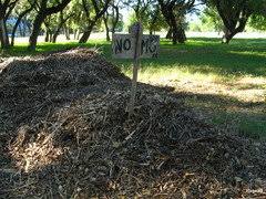 This particular arborist is based right down the street, so they've given me chips several times before when i request chips through chipdrop. Chip Drop Free Mulch