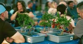 Bonsai & Brews at Thirsty Buffalo Brewing Company