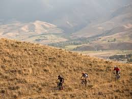 Mystery Murphy and AJ Magro's Wedding Website