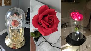 If you'd like to join too, here is the. Husband Makes Diy Beauty And The Beast Enchanted Rose For His Wife