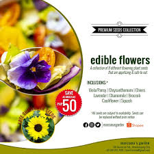 You can steam them and prepare them like spinach or stinging. Edible Flowers Seeds Collection Shopee Philippines