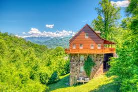 About the redneck convent log grabber safely and easily shift logs or put another on the fire with the redneck convent log grabber. Gatlinburg Cabin Rental Redneck Ritz 724 7 Bedroom