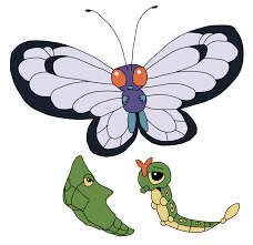 caterpie evolution weasyl