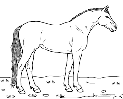 Explora 5.496 ilustraciones y gráficos vectoriales de stock sobre imagenes de caballos para dibujar libres de derechos o realiza una nueva búsqueda para encontrar más imágenes y gráficos vectoriales de stock increíbles. Dibujos De Caballos Para Colorear Paginas Para Imprimir Gratis