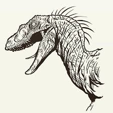My Favourite Jurassic Park Raptor Design Inked And Ready To Be Coloured Jurassicpark J Jurassic Park Tattoo Velociraptor Jurassic Park Velociraptor Drawing