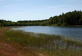 Km² sandru w dorzeczu brdy i wdy oraz równiny tucholskiej i równiny charzykowskiej. Park Bory Tucholskie Najlepsze Atrakcje Polski Noclegi Restauracje W Poblizu