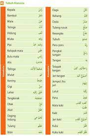 Dalam bahasa indonesia, kita sebut. Nama Nama Bagian Tubuh Manusia Dalam Bahasa Arab Alqur Anmulia