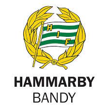 Name tele2 arena city stockholm capacity 33000. Hammarby Bandy 9 126 Fotos 4 Bewertungen Sportverein Ringvagen 16 104 62 Stockholm Schweden