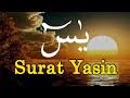 List download lagu mp3 suara merdu surat yasin full (5:86 min), last update nov 2020. Download Mp3 Surah Yasin Dan Artinya Song Download 28 4 Mb All Mp3 Download