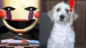 Jugar a fernanfloo saw game online es gratis. Curly Juega Five Nights At Freddy S 2 Fernanfloo Five Nights At Freddy S Nights At Freddy S Juegos