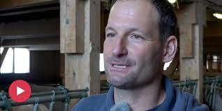 Wolf schlägt bei Bauern zu, die Herden nicht schützen