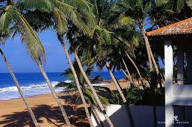 Hier finden sie die besten informationen zu preisen, ‍ gehältern,.preise für den kauf oder die miete von häusern oder wohnungen in sri lanka. Ferienhaus Am Strand Mieten Ferienvilla Am Meer Mit Pool Sri Lanka Induruwa Ferienhaus Am Strand Ferienhaus Villa