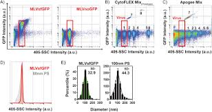 engineered retroviruses as fluorescent biological reference