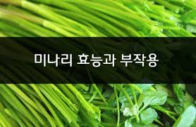 스포츠서울 김선우기자오는 3월 3일, 한국 개봉까지 8일을 앞둔 영화 '미나리'(정이삭 감독)의 배우 윤여정이 사우스이스턴, 밴쿠버 비평가협회의 여우조연상까지 연기상 통산 26관왕을 달성하며 오스카를 향한 스퍼트를 끌어올리고 있다.배우 윤여정이 미국 사우스이스턴, 캐나다 밴쿠버 비평가. í•´ë…ìž'ìš©ì´ ë›°ì–´ë‚œ ë¯¸ë‚˜ë¦¬ì˜ íš¨ëŠ¥ê³¼ ë¶€ìž'ìš©