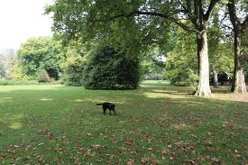 Mai 1876 wurde der zoologische garten in düsseldorfer eröffnet. Zoopark Dusseldorf Mit Hund Aykas Hundeblog