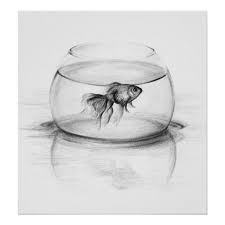 Blending stump (you can use paint brush. Goldfish In Bowl And Water Pencil Drawing Art Poster Zazzle Com Pencil Art Drawings Color Pencil Drawing Pencil Drawing Tutorials