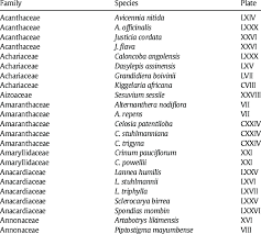 Image result for Celosia stuhlmanniana