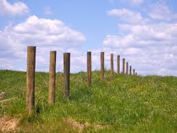 Image result for posts