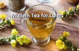 Mullein Tea Lung Detox 100g Herbalteatherapy Detox Sante