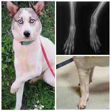 El Rincón de Barakah