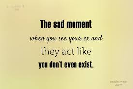Check spelling or type a new query. Quote The Sad Moment When You See Your Ex And They Act Like Coolnsmart