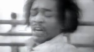 Purple Haze & Wild Thing