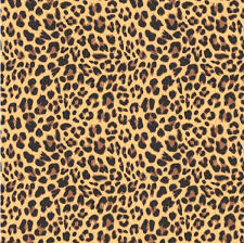 We did not find results for: 46 206 Leopard Vector Images Free Royalty Free Leopard Vectors Depositphotos