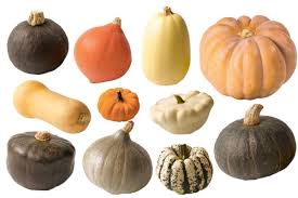 Quelle Courge Choisir Toutes Les Infos Sur Le Blog Variete De Courge Courge Variete Courge