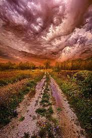 passion within chaos by phil koch beautiful nature scenes nature scenes beautiful nature