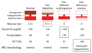 43 Explicit Low Iron Chart