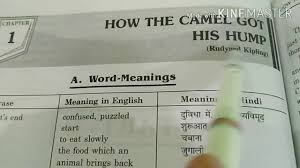 There are two varieties of camels in the world. Class 8th How The Camel Got His Hump Question Answers S V M School Rahara Karnal Youtube