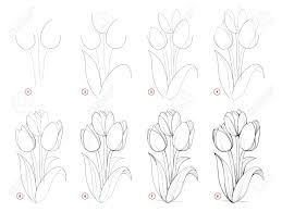 We did not find results for: How To Draw Step Wise Beautiful Bouquet Of Tulip Flowers Creation Step By Step Pencil Drawing Educational Page For Artists School Textbook For Developing Artistic Skills Hand Drawn Vector Image Royalty Free Cliparts Vectors