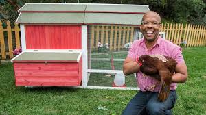 Construct this easy diy coop, and keep your own chickens for a slightly remodeled plastic doghouse and a wire pen make a perfect home for two to four hens. How To Make A Backyard Chicken Coop Youtube