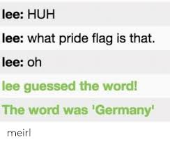 I think this is quite promising, considering it contains all the same colors, but in a different hue. Lee Huh Lee What Pride Flag Is That Lee Oh Lee Guessed The Word The Word Was Germany Meirl Huh Meme On Me Me