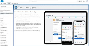 The salesforce mobile app now includes all your favorite lightning apps. Blog Software Development Sap Salesforce E Commerce Magento Hana Fiori