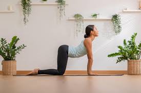 Grounded calm during period yoga