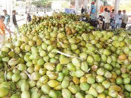  Fresh Coconut Retail Business
