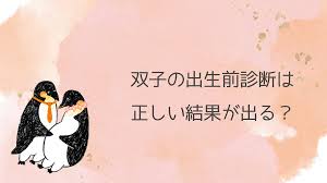 ペン子夫婦のNIPT検査ガイド