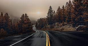 16 Nature Road Wallpaper Hd 2048x1365 Nature Forest Road Wallpaper And Background 5 Days Of A Tree Road Wallpaper Fall Photography Nature Nature Photography