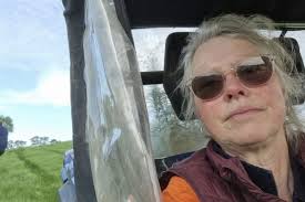 Trees at Hazel Creek, Baw Baw.