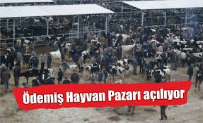 Odemis Hayvan Pazari Aciliyor