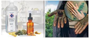 Also known as cannabis oil, honey oil, bho or shatter, hash oil is a concentrated cannabis extract that can be smoked, vaped, ingested or even rubbed against the skin. Cannabis Concentrates What S The Difference Between Solvent And Solventless Extracts Cannaconnection Com