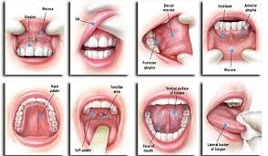 The likelihood of developing oral cancer is greater in men and those over the age of 40. Malaysian Scientists Found Genetic Link That Could Help Fight Oral Cancer Laptrinhx News